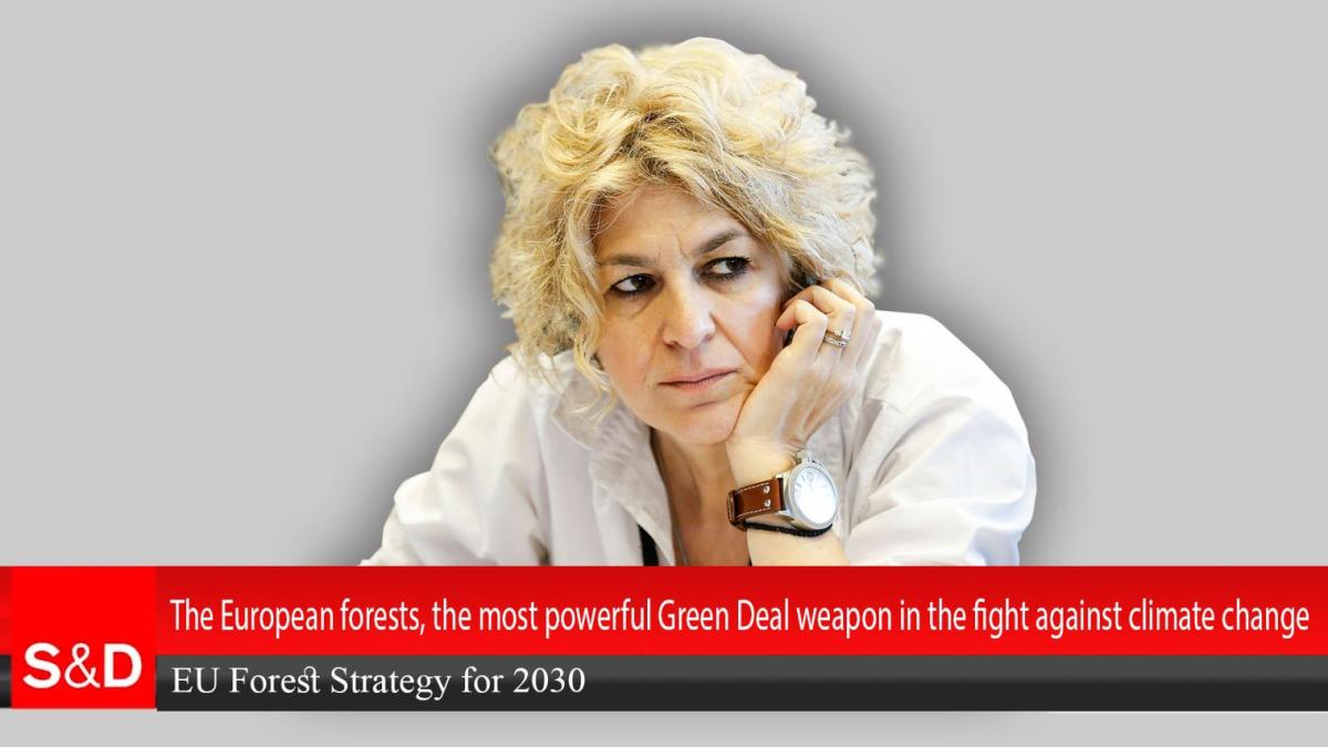 europarlamentarul-carmen-avram--la-interviurile-stiridiaspora-ro