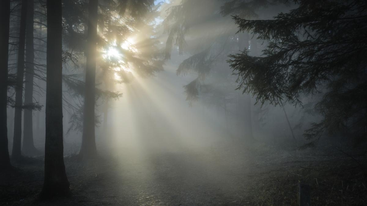 cadavrul-unui-migrant--gaprc-ccprc-86sit-iprc-ccprc-82ntr-o-paprc-ccprc-86dure-aproape-de-frontiera-cu-belarus