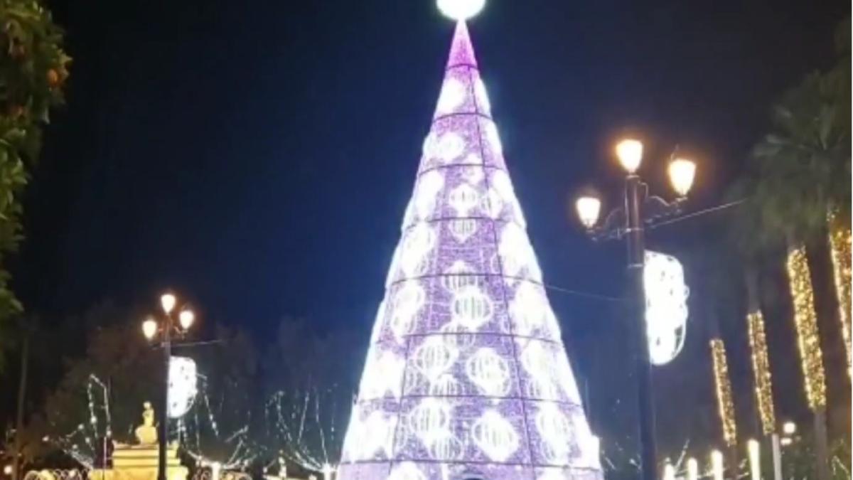 spania--sevilla-se-mandreste-cu-cel-mai-inalt-brad-de-craciun-din-europa