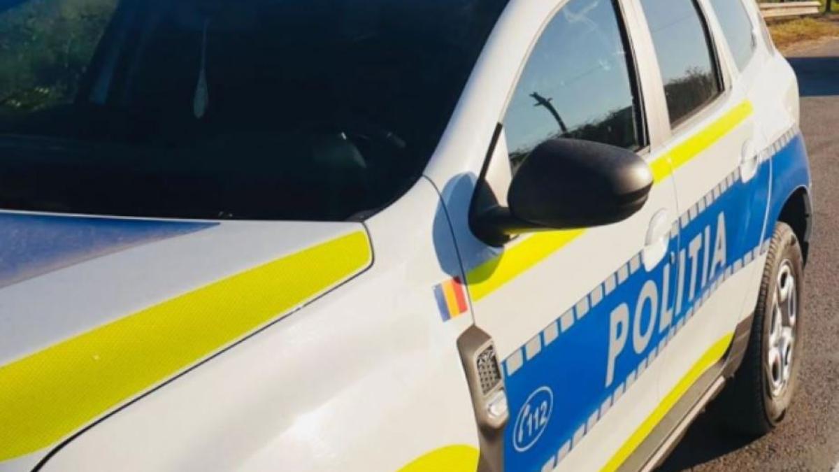 o-romanca-a-fost-amenintata-de-politisti-dupa-ce-a-sunat-la-112-pentru-a-salva-un-caine---mi-e-frica-sa-mai-raspund-la-telefon