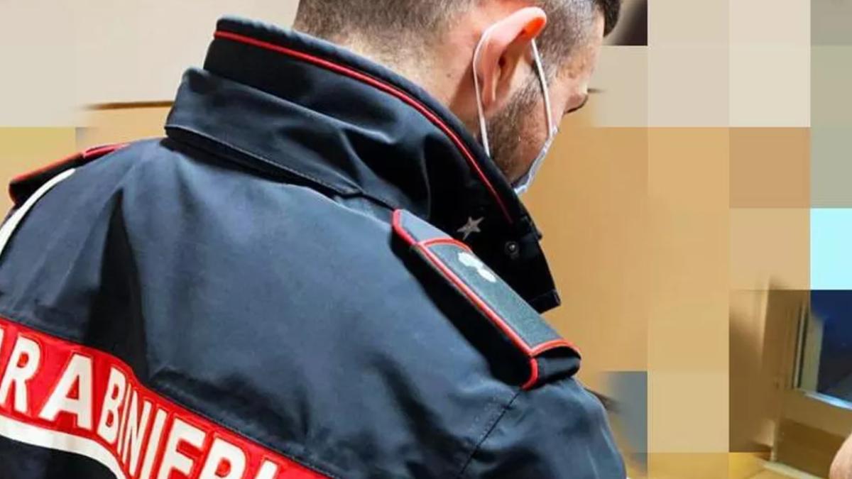 roman-scandal-bar-certificat-verde