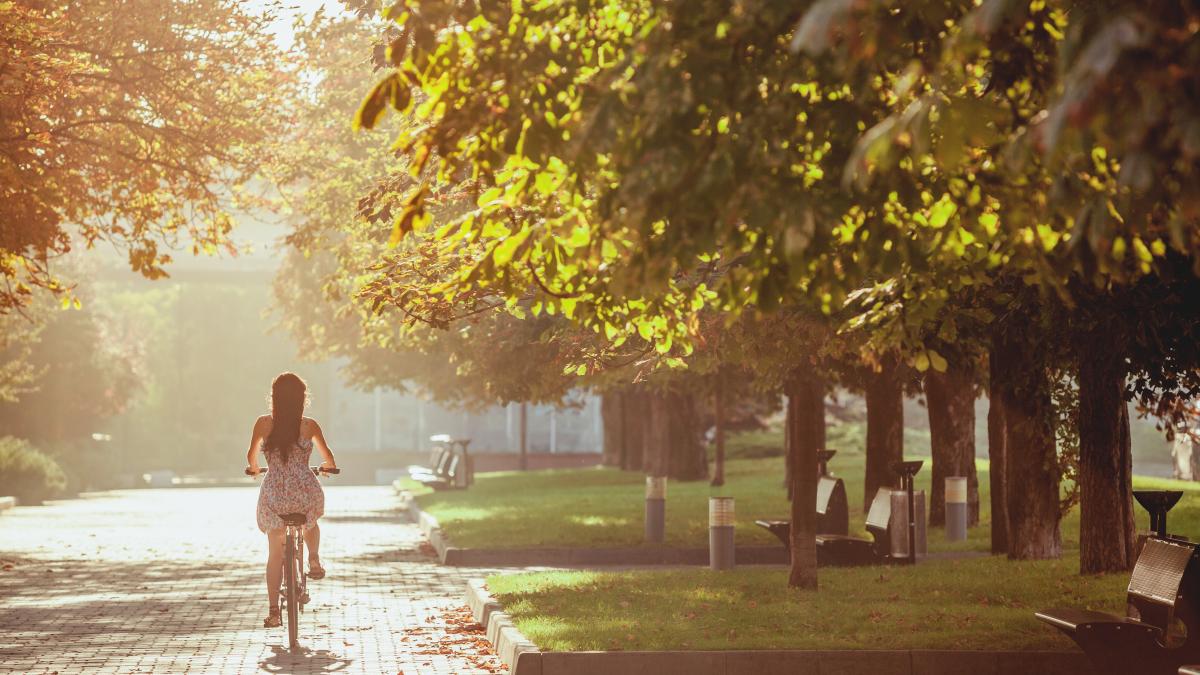 germania--un-roman-a-bagat-spaima-in-femeile-unui-oras-le-hartuia-si-se-masturba-in-fata-lor