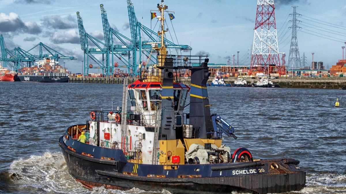 ue-va-furniza-belgiei-150-de-containere-pentru-cazarea-solicitantprc-ccprc-a7ilor-de-azil