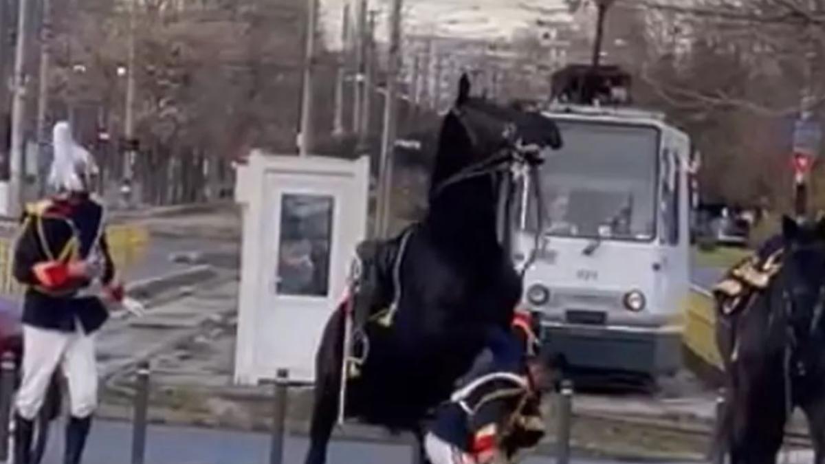 jandarmul-care-a-cazut-de-pe-cal-la-parada-de-1-decembrie-era-beat