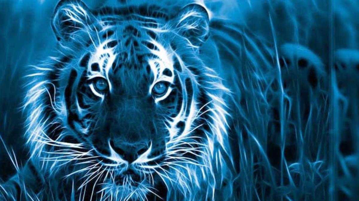 horoscop-2022--cum-sa-te-imbraci-de-revelion--ce-bucate-sa-pregatesti-si-cum-sa-ti-decorezi-locuinta-ca-sa-ai-noroc-tot-anul