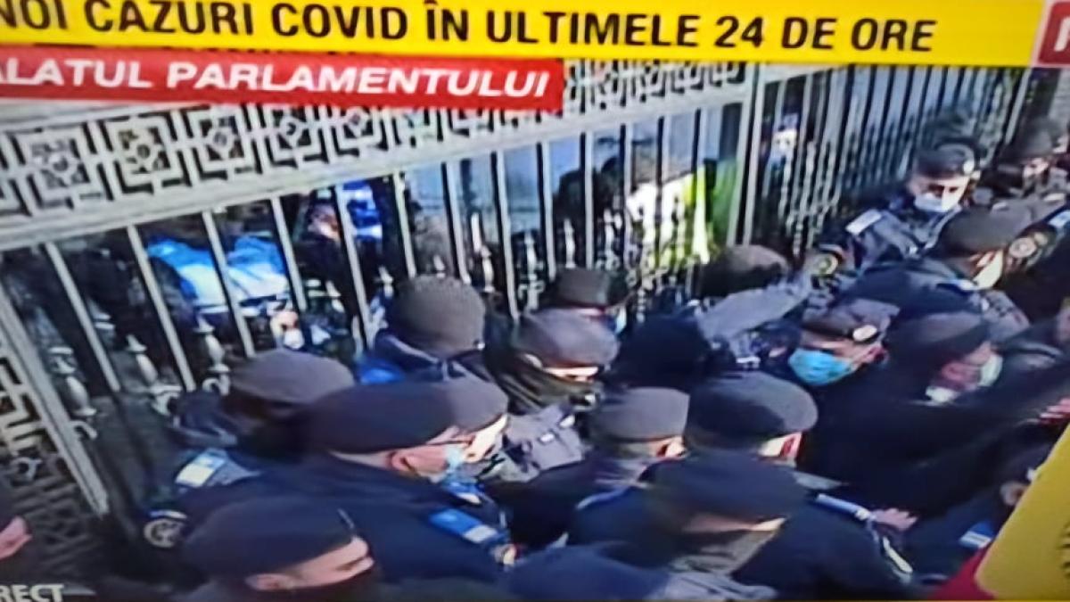 protest-bataie-jandarmi