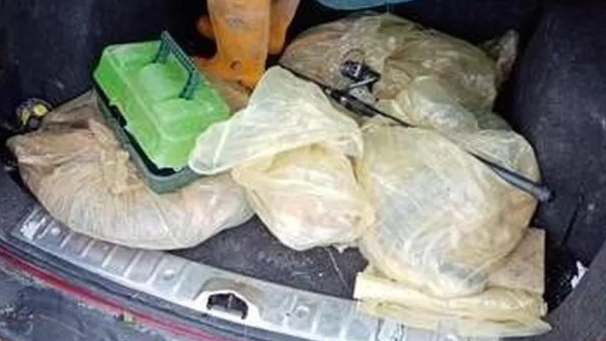 romani-italia-pescuit-ilegal-crapi