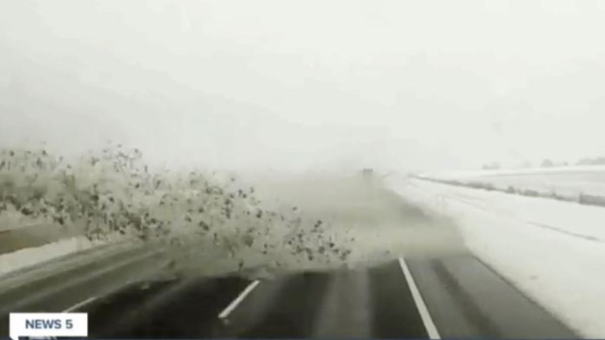 sofer-de-plug-de-zapada--pericol-pe-autostrada--a-avariat-zeci-de-masini-si-mai-multe-persoane--in-timp-cu-curata-carosabilul