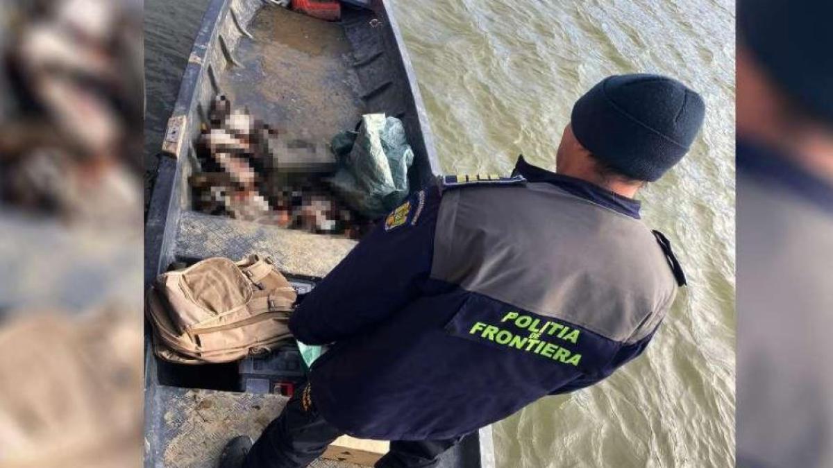 bulgar--prins-in-apele-teritoriale-romanesti-ale-dunarii--barbatul-a-fost-acuzat-de-braconaj--iar-barca-i-a-fost-confiscata