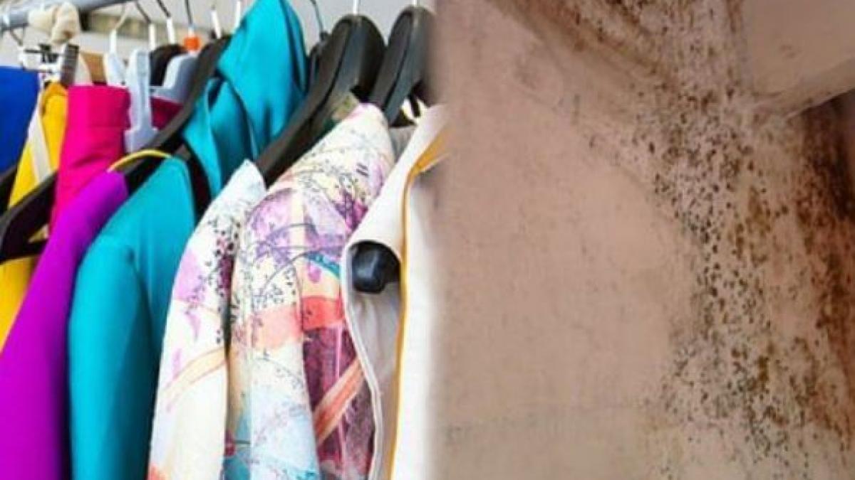 trucul-cu-care-scapam-rapid-de-mirosul-de-mucegai-din-dulapuri--aveti-nevoie-de-un-ingredient-pe-care-il-folositi-mereu-in-bucatarie