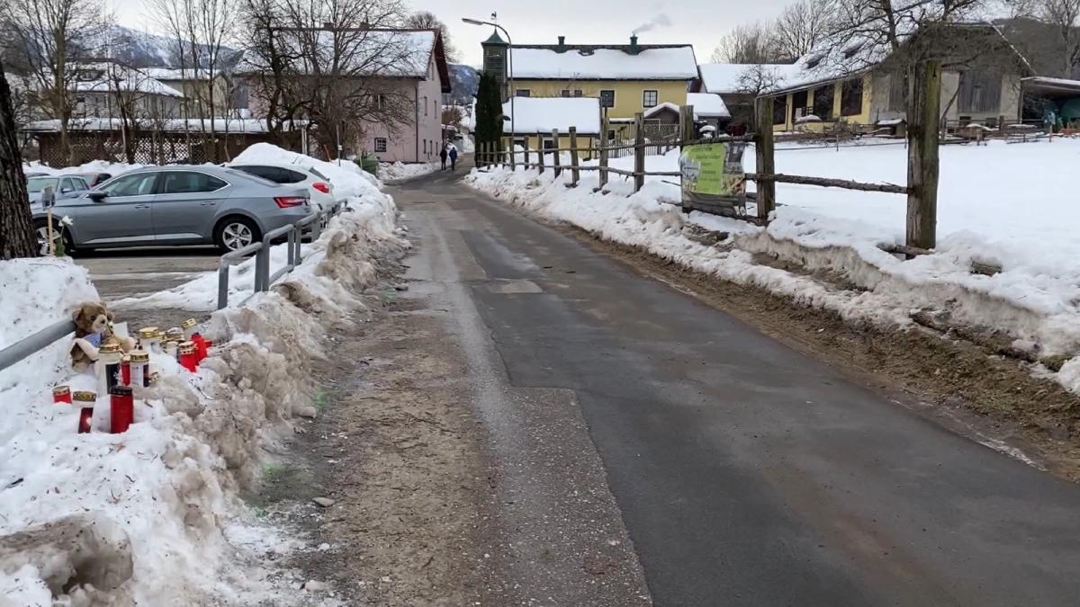 austria--romanca-ce-a-accidentat-mortal-o-conationala-si-pe-fiul-acesteia-a-recunoscut-crima-nu-l-am-vazut-pe-copil---foto-1