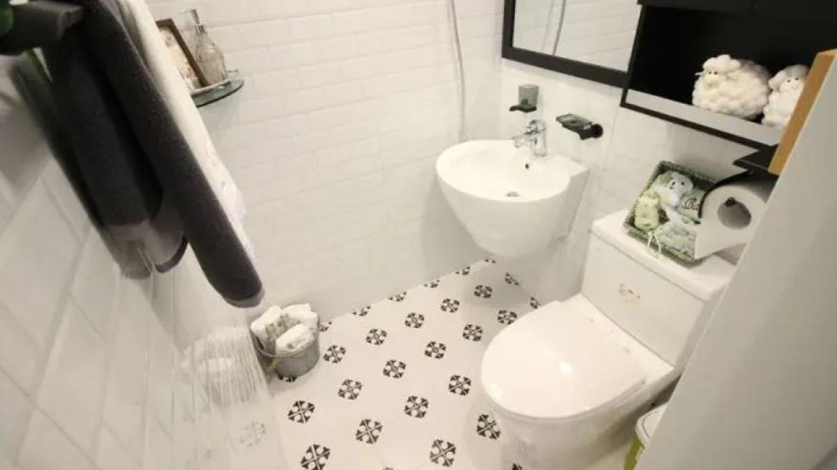 cum-sa-elimini-mirosul-neplacut-din-toaleta-intr-un-minut--trucul-stewardeselor-a-fost-aflat