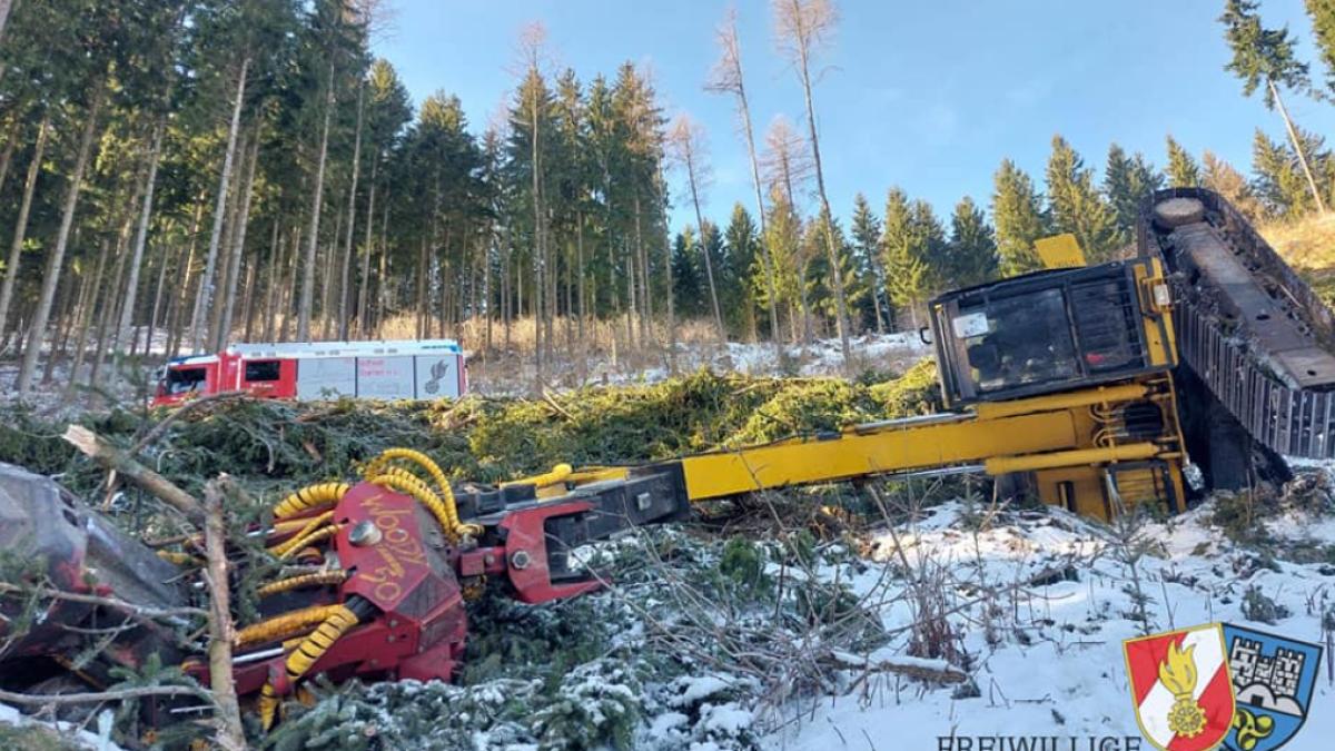 roman-mort-austria-excavator