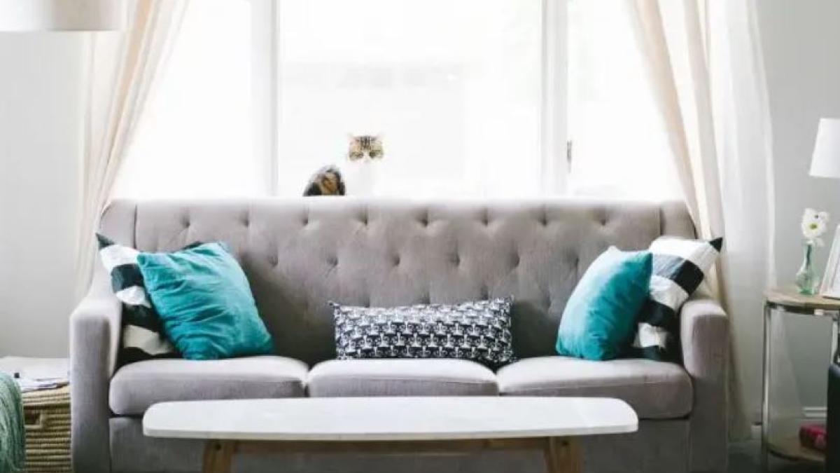 cum-sa-indepartati-rapid-o-pata-de-grasime-de-pe-canapea-o-metoda--uscata--va-este-de-ajutor--fara-apa-si-fara-substante-chimice