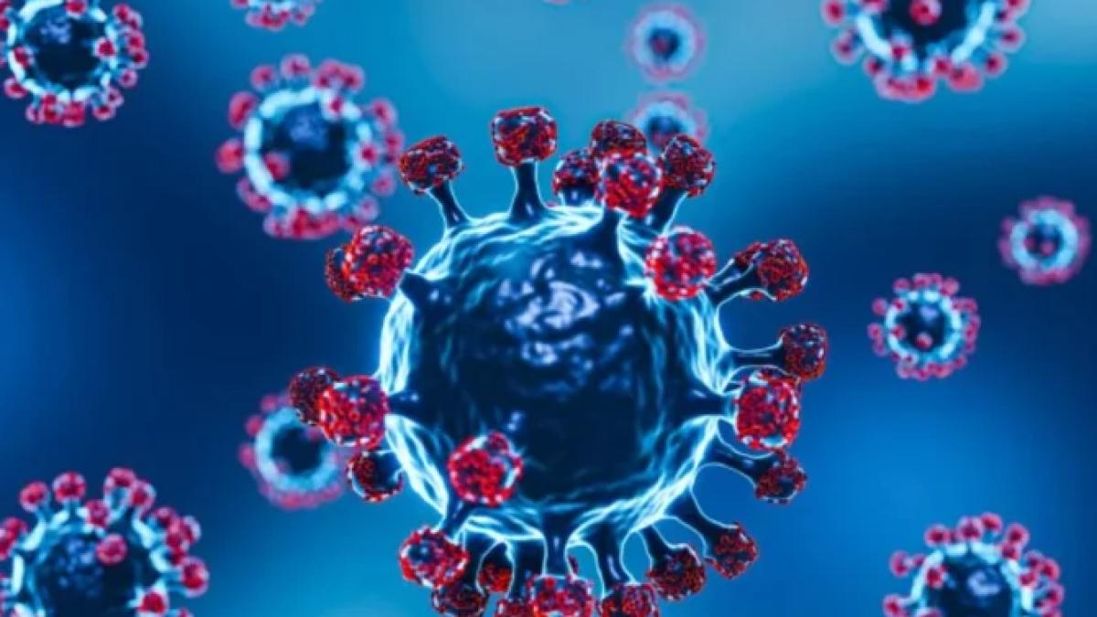 11-cazuri-de-infectare-cu-omicron--in-romania--pacientii-au-forme-usoare-de-boala-1