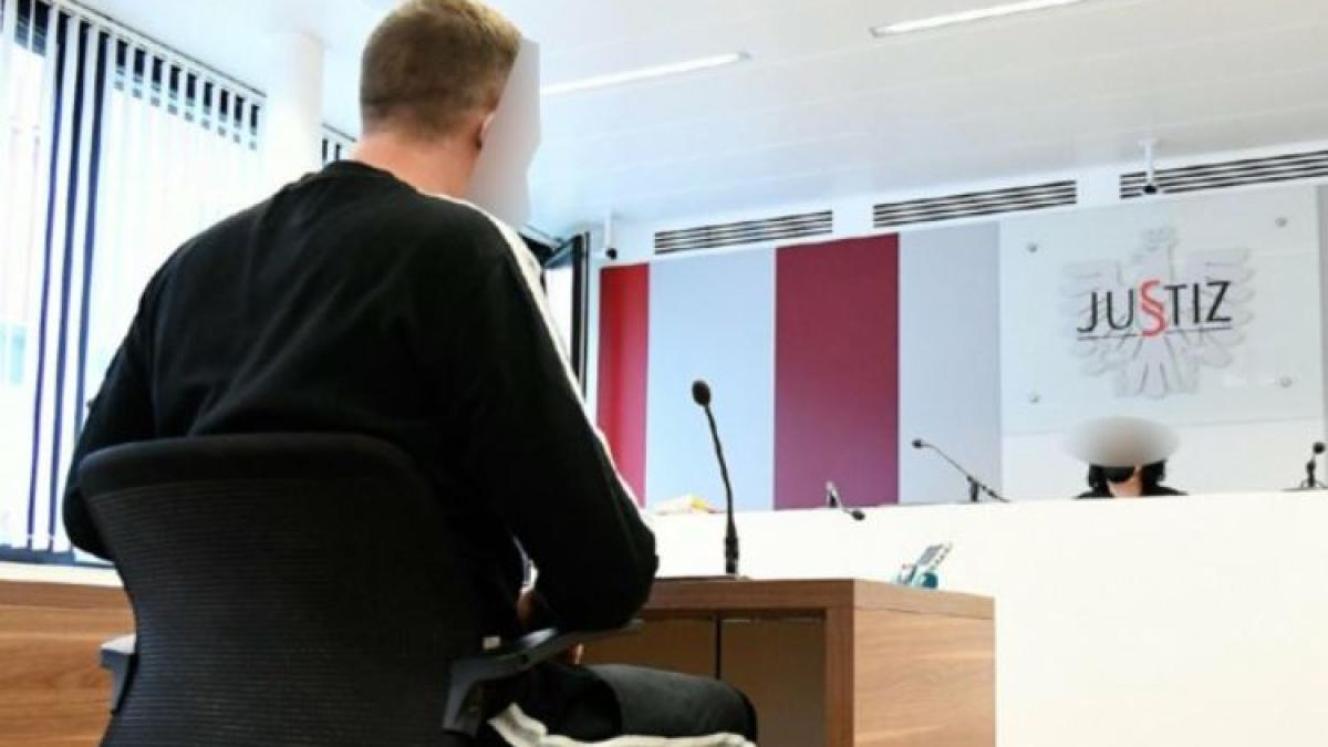 austria--un-roman--implicat-in-doua-jafuri-din-bancomate--a-scapat-de-condamnare--cum-i-a-convins-hotul-pe-magistrati