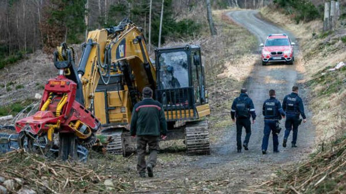 germania--tanar-roman--ucis-de-copacul-pe-care-l-a-taiat-intr-o-zona-forestiera
