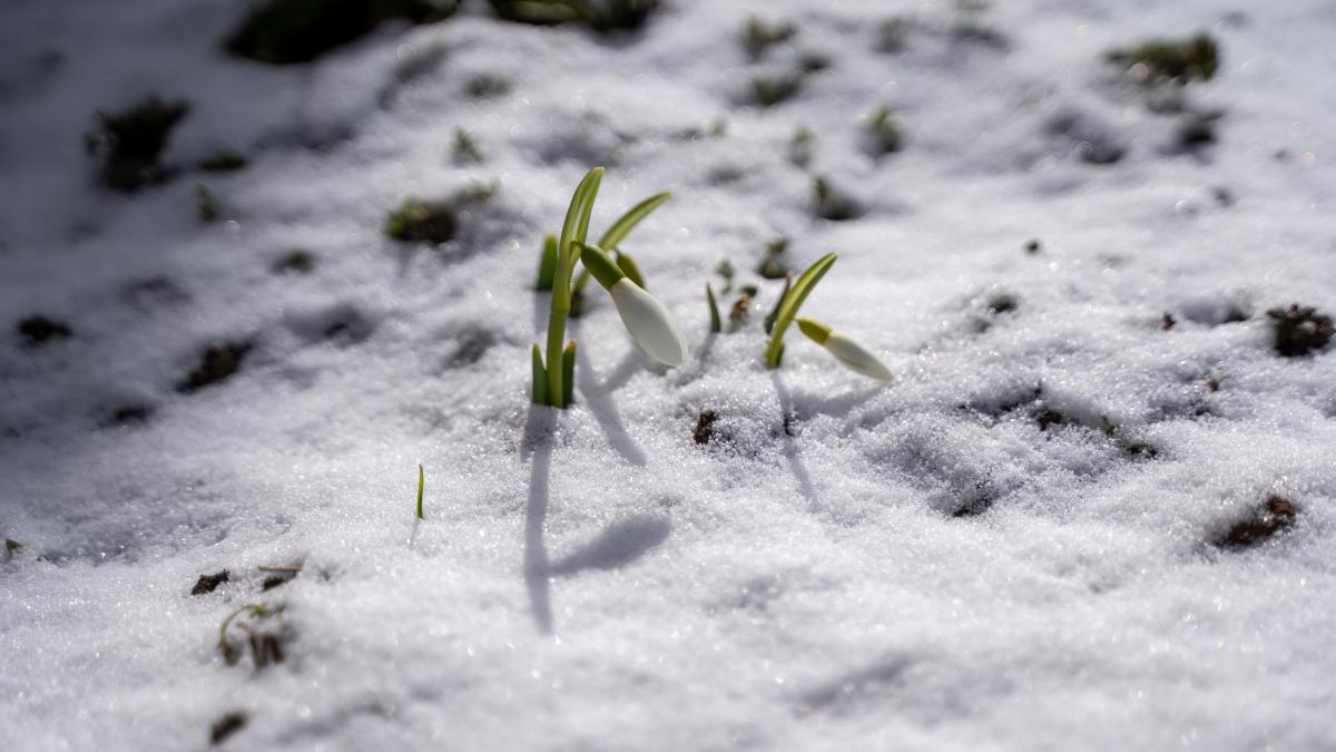 roman-datsiuk-sbdfsnqctrg-unsplash