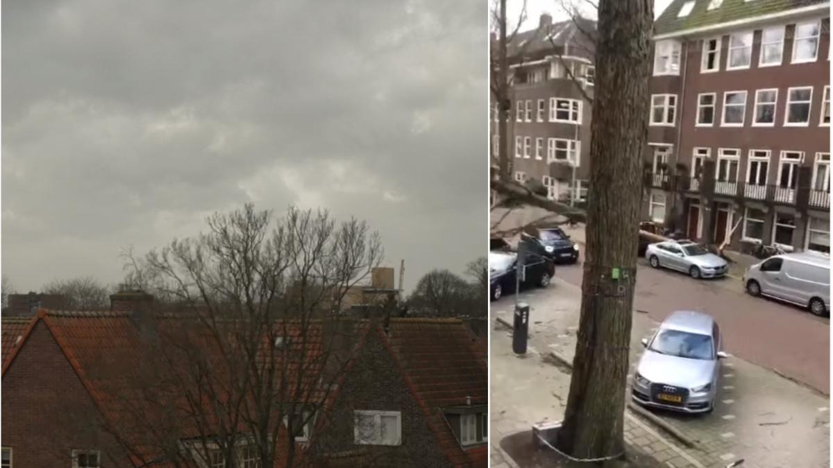 furtuna-eunice-olanda