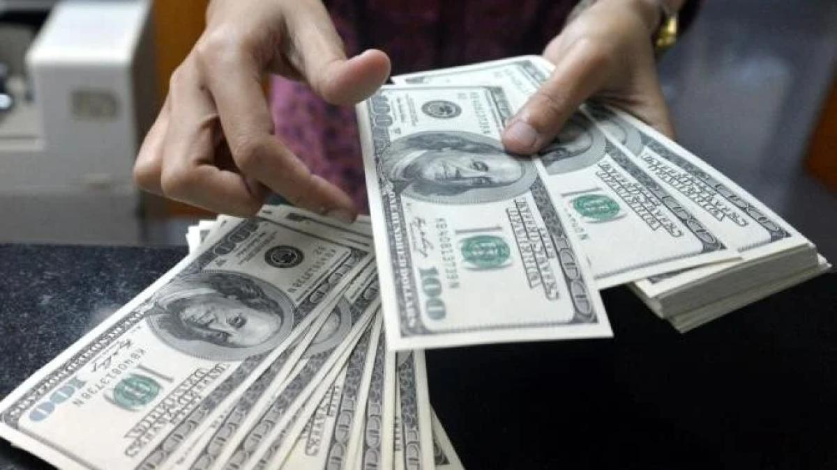 pierderi-dolari_15428600