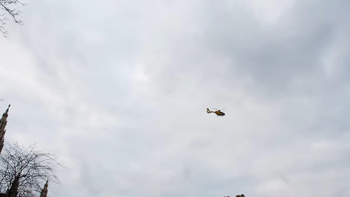 austria--un-roman-a-dat-cu-lumina-unei-lanterne-in-elicoperul-politistilor-care-era-deasupra-protestatarilor-anti-covid-a-primit-inchisoare