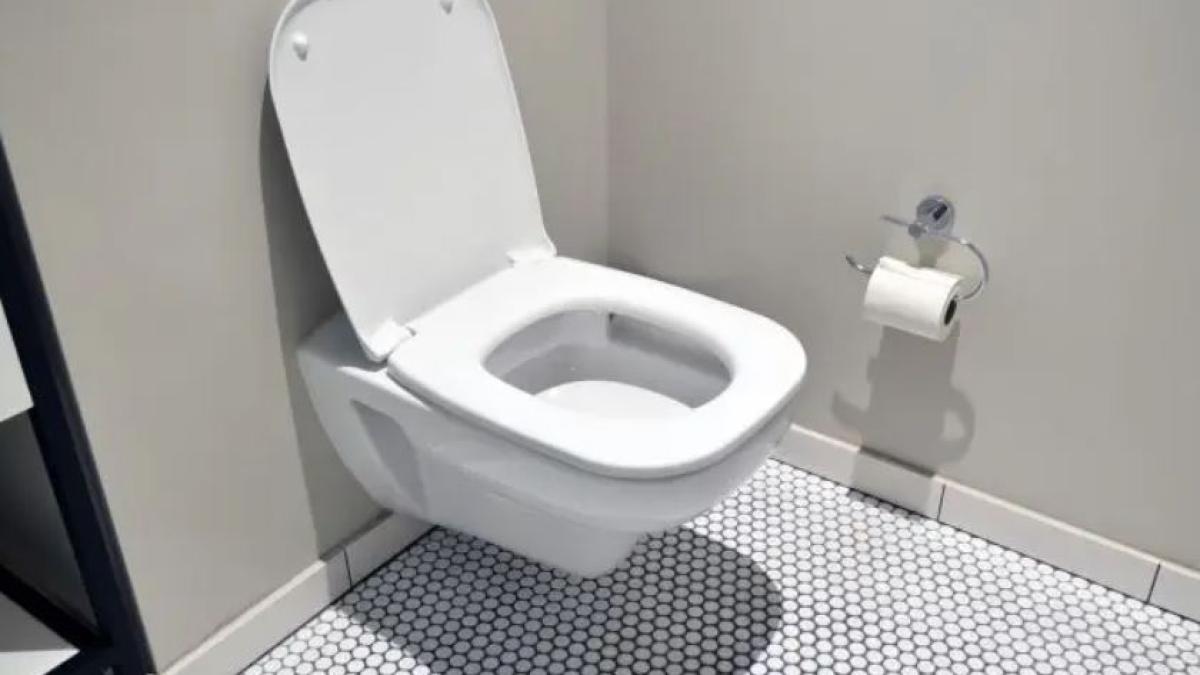 de-ce-trebuie-sa-turnam-sapun-lichid-in--toaleta-instalatorii-nu-va-vor-dezvalui-niciodata-acest-truc-