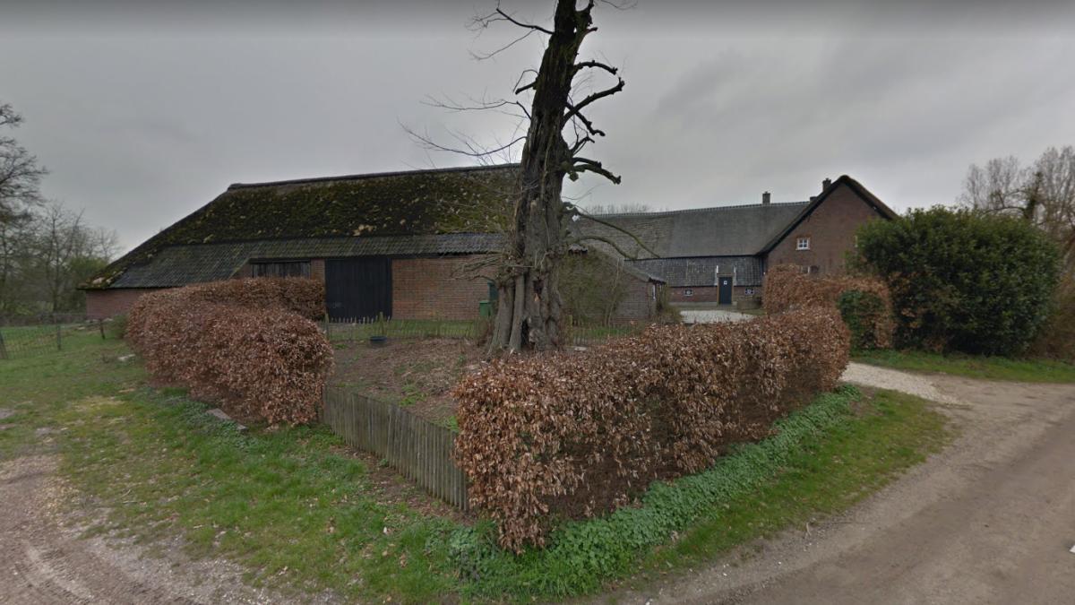 gassel-locuinta-olanda-muncitri-romani