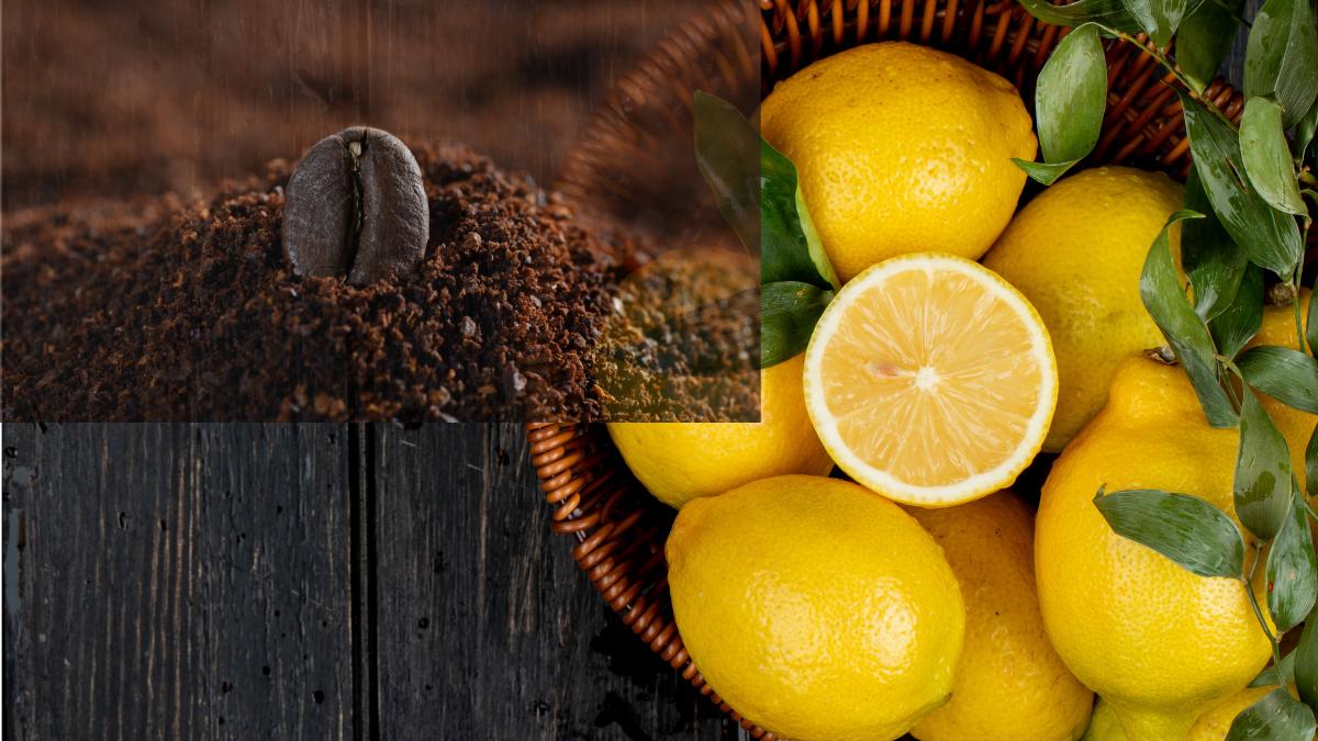 o-lingura-de-cafea-si-o-lamaie--trucul-fabulos-cu-rezultate-fantastice-in-doar-cateva-minute-vei-economisi-foarte-multi-bani