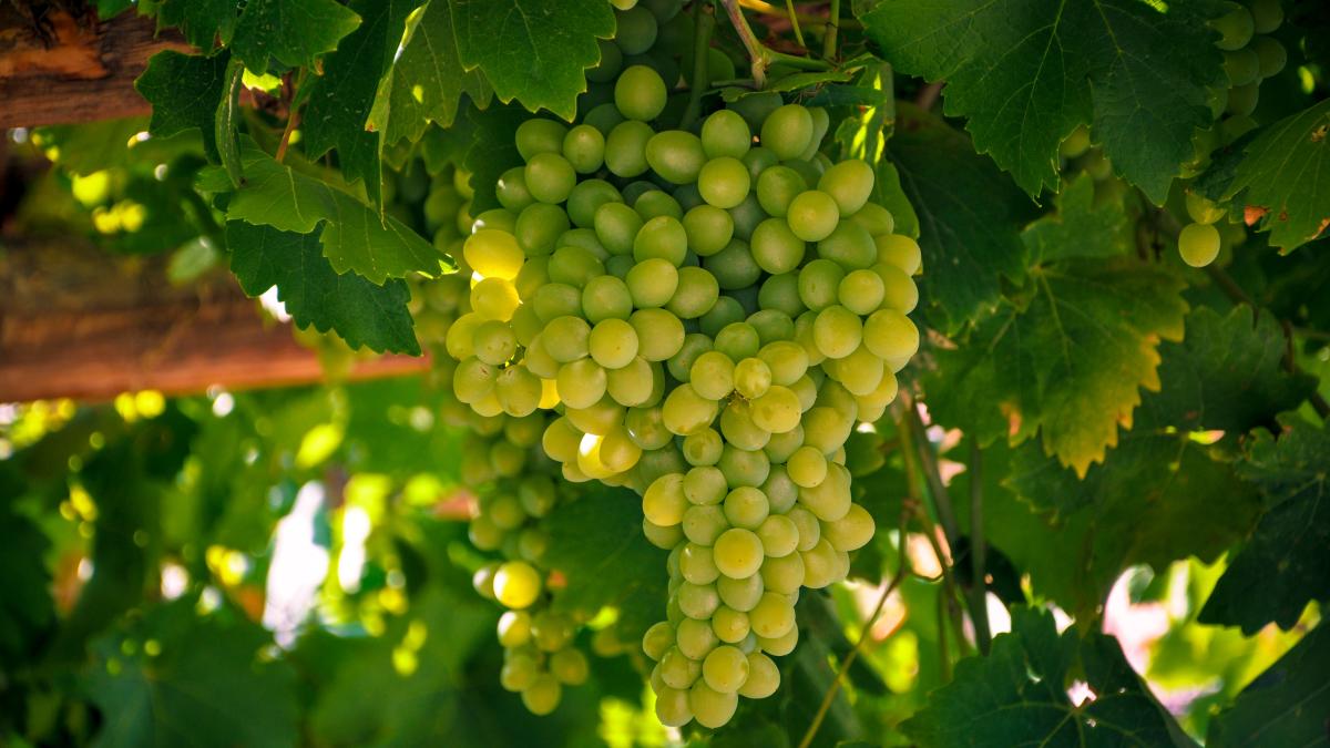 erfan-parhizi--5m2bhwryje-unsplash