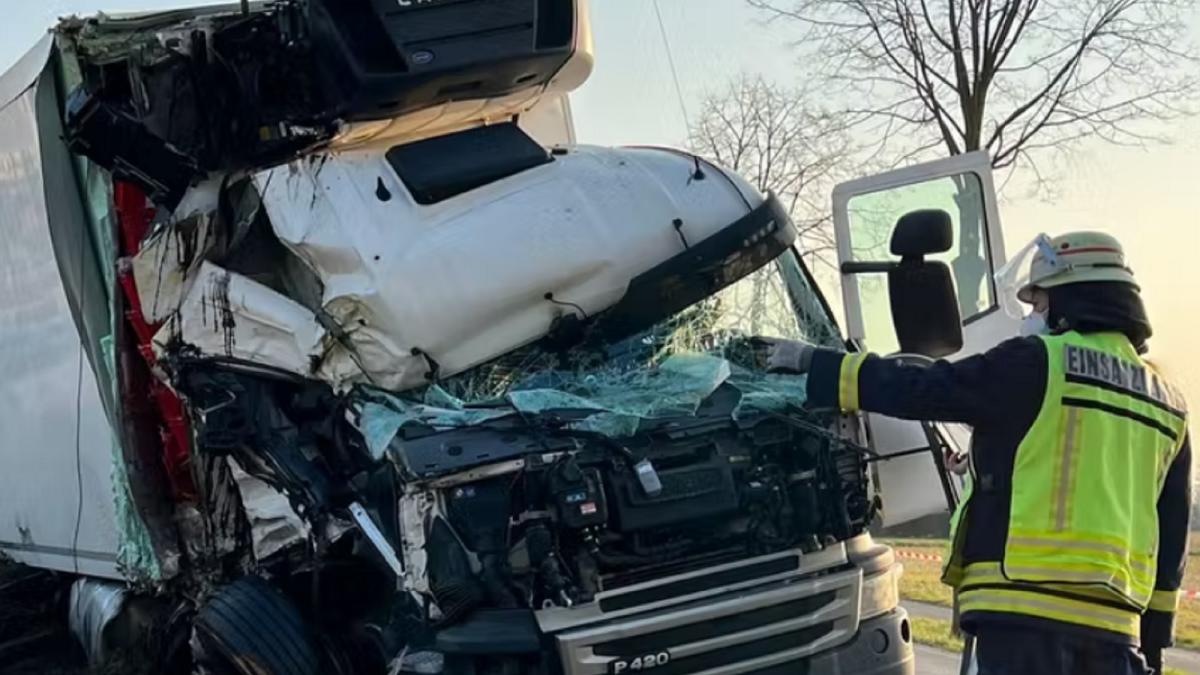 germania--sofer-roman-de-tir--accident-teribil-a-scapat-camionul-de-sub-control-si-s-a-izbit-de-un-copac