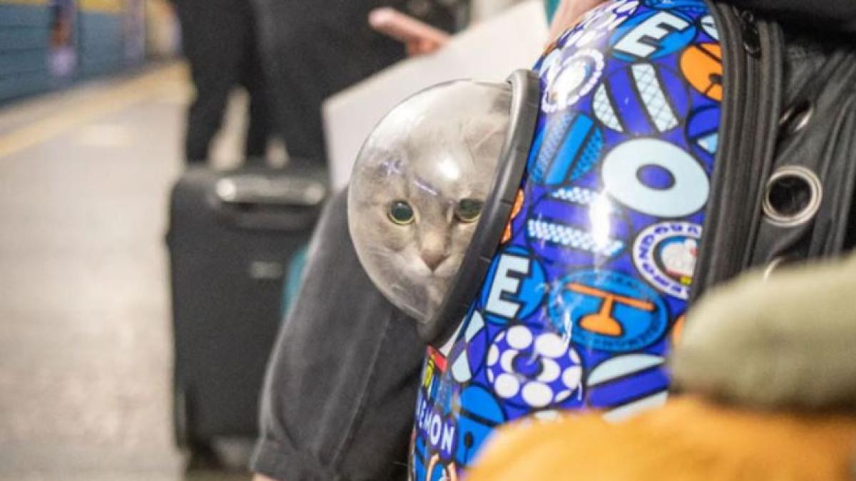 mama--in-cate-minute-se-va-incheia-razboiul--ucrainenii-si-copiii-lor-lor-se-ascund-in-subsoluri--fara-apa-si-mancare