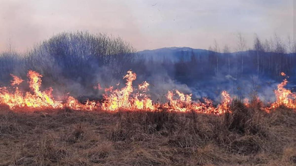 roman--gasit-carbonizat--in-urma-unui-incendiu-de-vegetatie