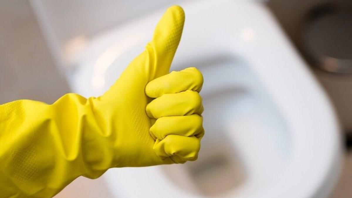 cum-sa-desfunzi-vasul-de-toaleta-cu-ajutorul-unei-sticle-trucul-simplu-de-care-instalatorii-nu-ar-vrea-sa-afli