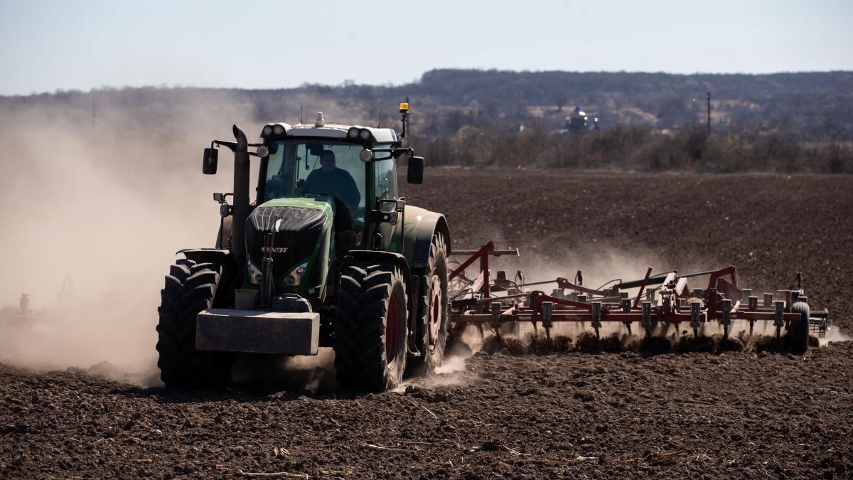 rusia--acuzata-ca-a-provocat-o-criza-alimentara-mondiala