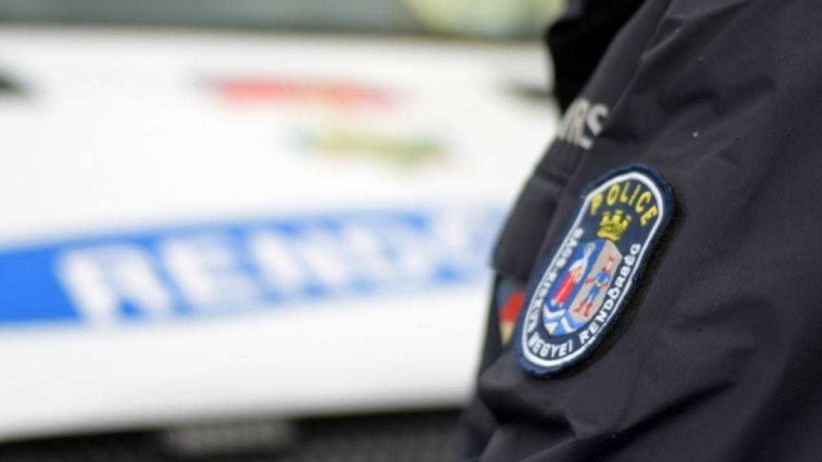 ungaria--un-camion--condus-de-un-roman--s-a-rasturnat-intr-un-sant--politistii-au-avut-un-soc-cand-au-vazut-ce-transporta