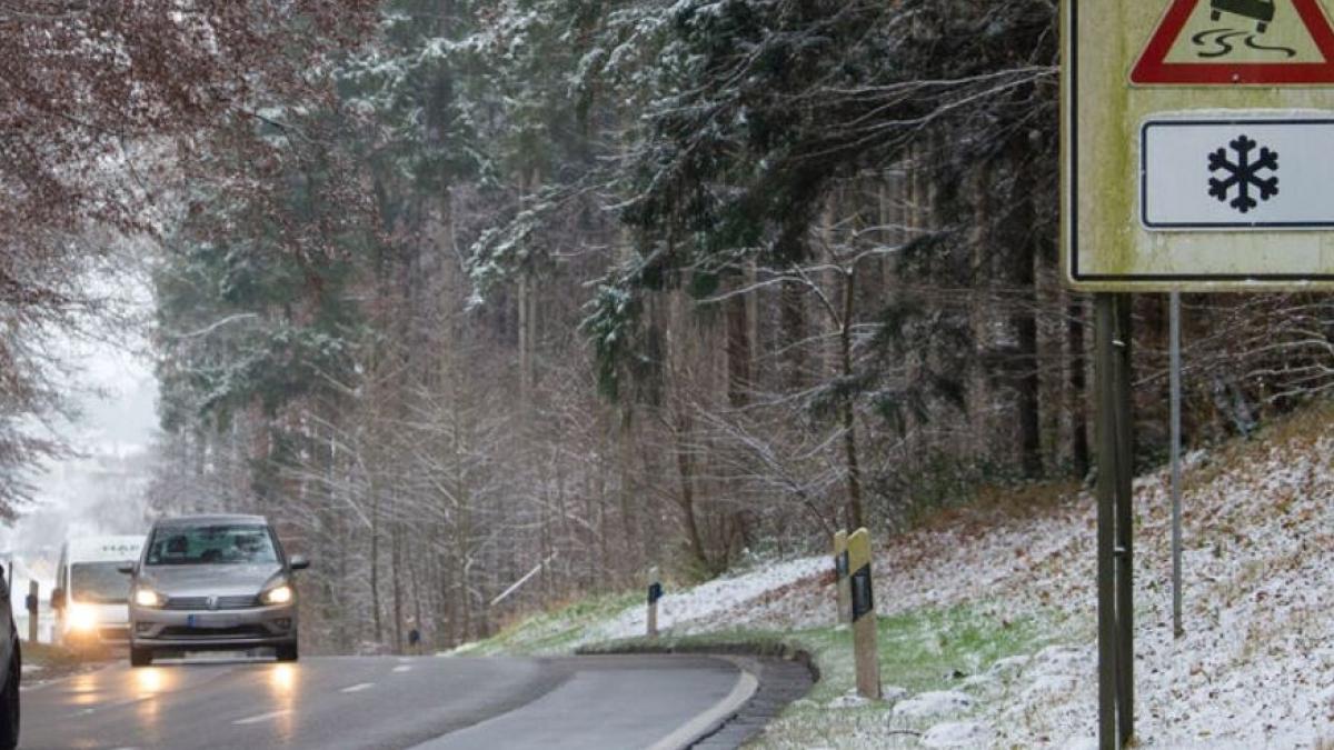 germania--sofer-roman--dus-la-spital--dupa-ce-s-a-rasturnat-cu-masina--trei-pasageri-s-au-ales-doar-cu-o-sperietura