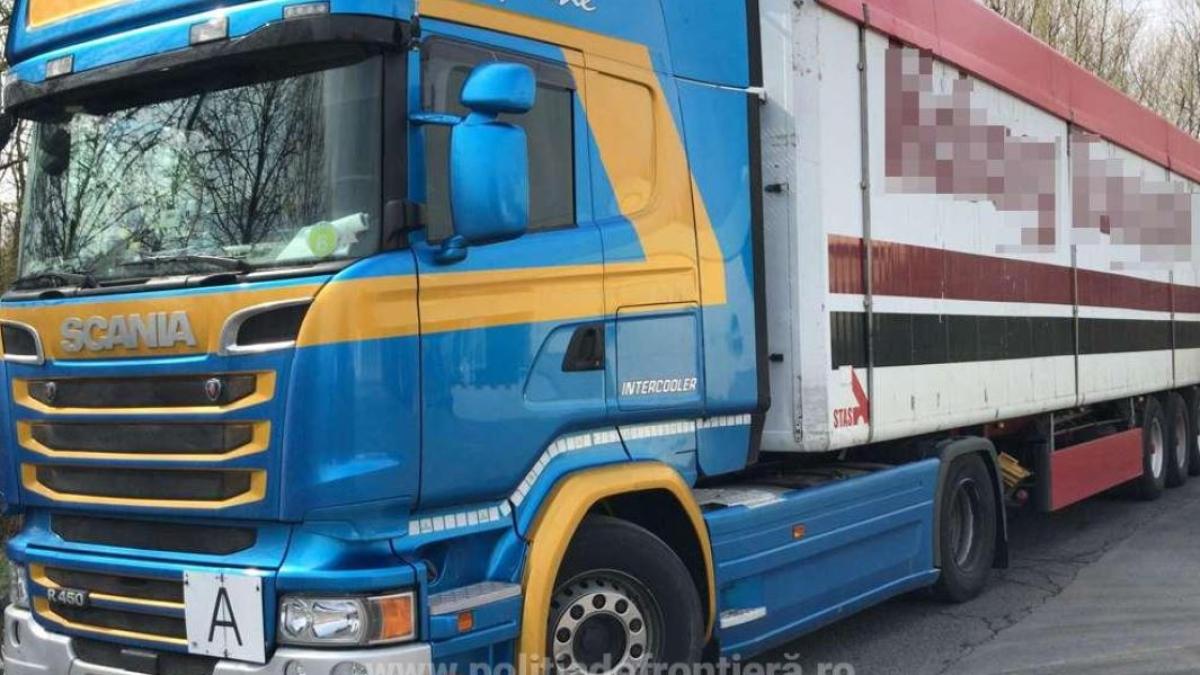 camion--oprit-la-intrarea-in-tara-aproape-23-de-tone-de-deseuri-din-hartie--trimise-de-italia-in-romania