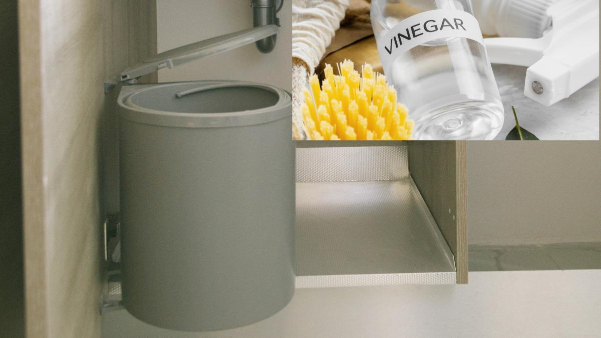 a-pus-o-carpa-inmuiata-in-otet-pe-capacul-cosului-de-gunoi--trucul-care-a-facut-minuni-instant