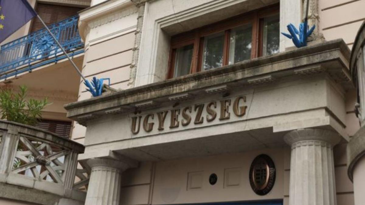 un-roman--care-a-introdus--clandestin--migranti-egipteni-in-ungaria--ar-putea-ajunge-la-inchisoare