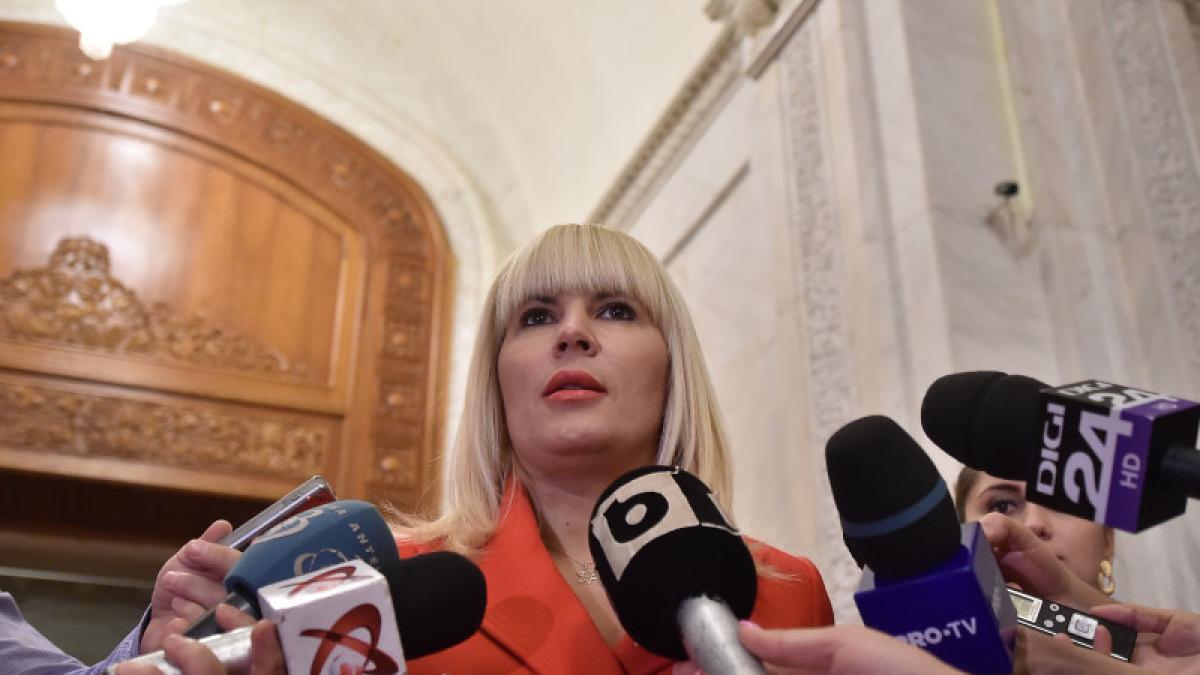 elena-udrea-declaratii-presa