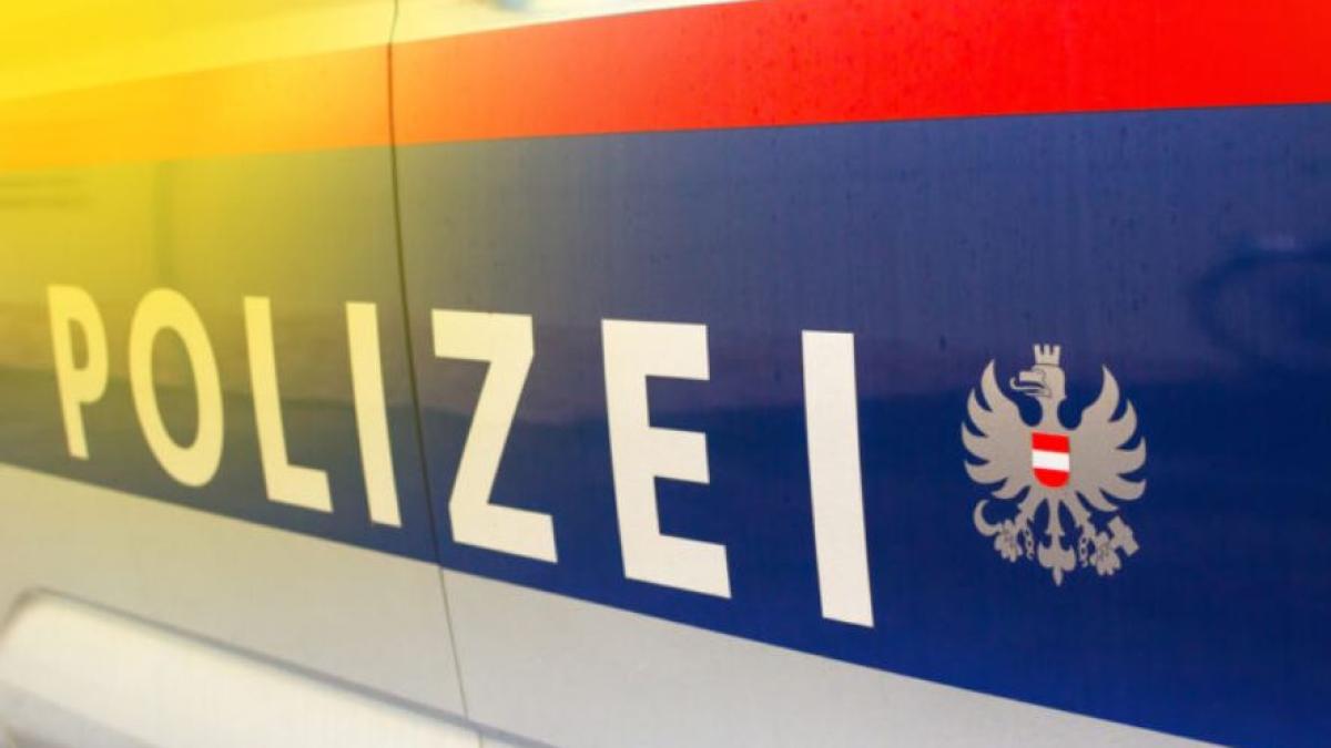 austria--un-roman-a-atacat-mai-multi-pasageri-in-metroul-din-viena--un-politist--care-a-vrut-sa-l-aresteze--a-ajuns-la-spital