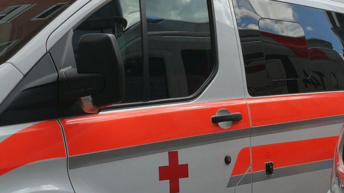 austria--muncitor-roman--ranit-grav-in-timpul-unor-lucrari-forestiere