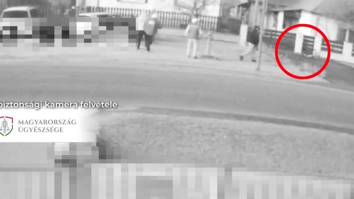 ungaria--cinci-romani-ar-putea-ajunge-la-inchisoare--dupa-ce-au-lovit-cu-masina-o-fetita-si-au-fugit-de-la-locul-accidentului