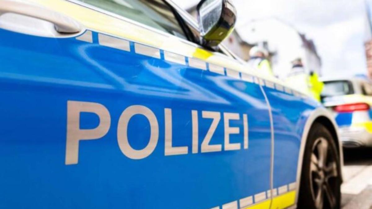 italia--roman--retinut-dupa-ce-a-coborat-din-avion--politia-din-austria-il-cauta-in-toata-europa