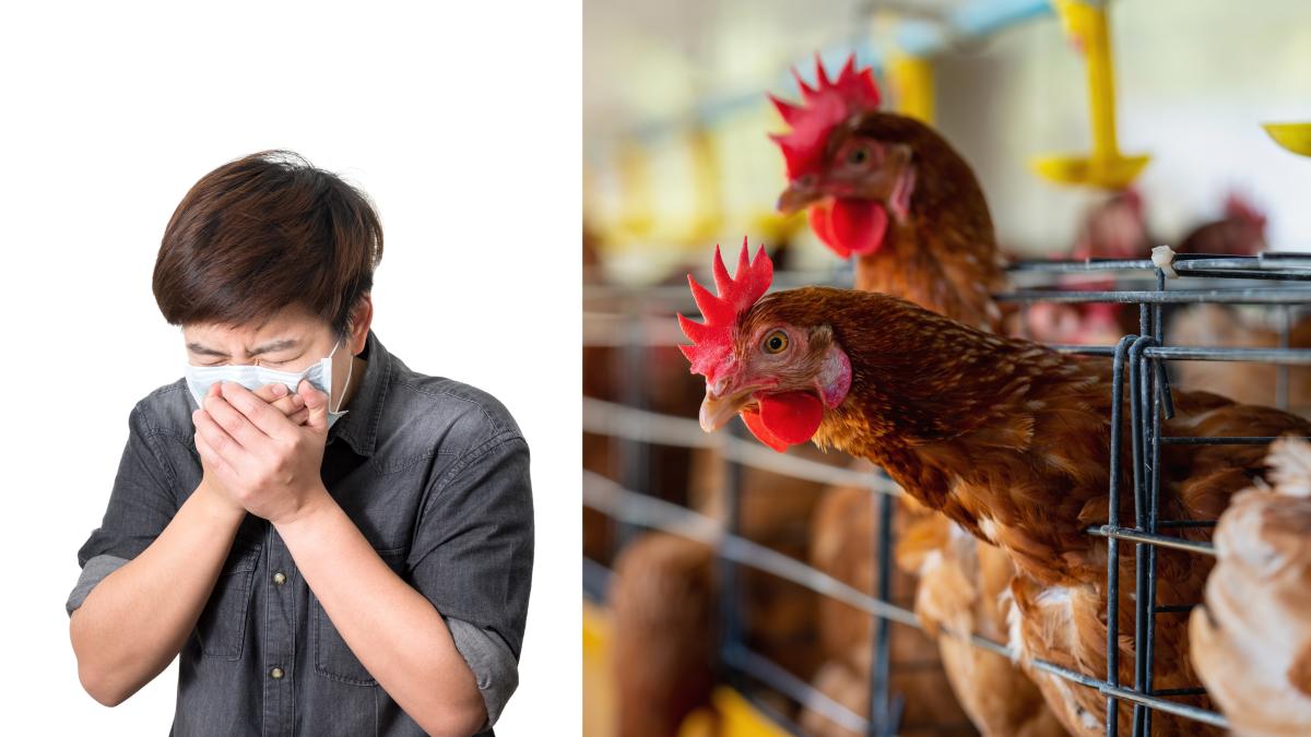 china-a-detectat-primul-caz-de-gripa-aviara-h3n8-la-om
