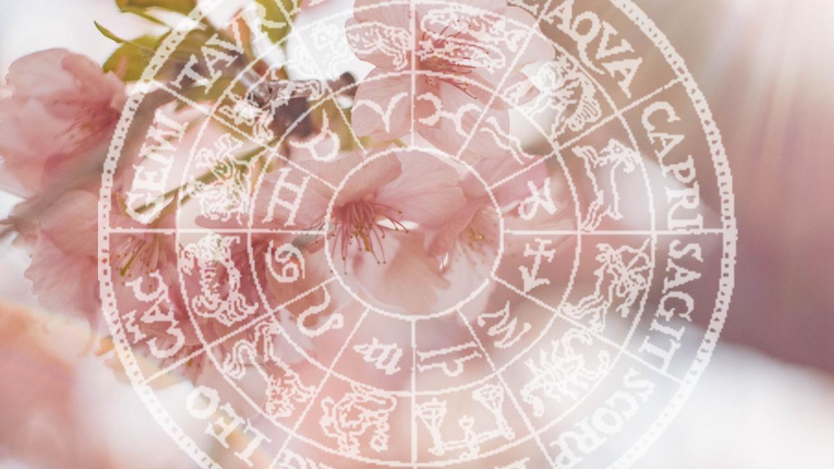 tunafish-hebo6sp6uju-unsplash