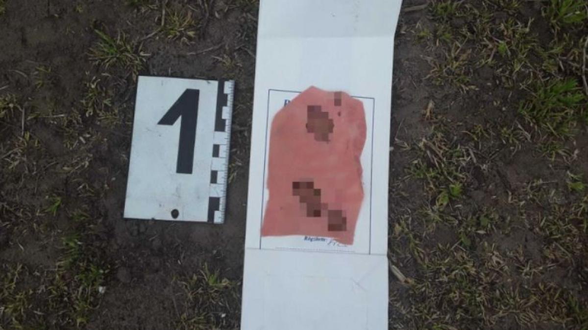 ungaria--un-roman-si-a-injunghiatprc-c2prc-a0prietenul-de-pahar-si-l-a-jefuit-te-tai-si-isi-scot-inima