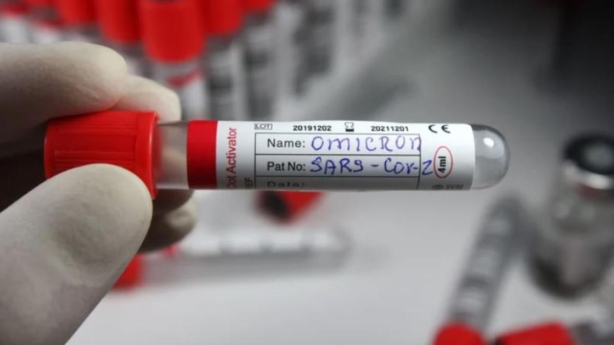 tulpina-omicron-covid