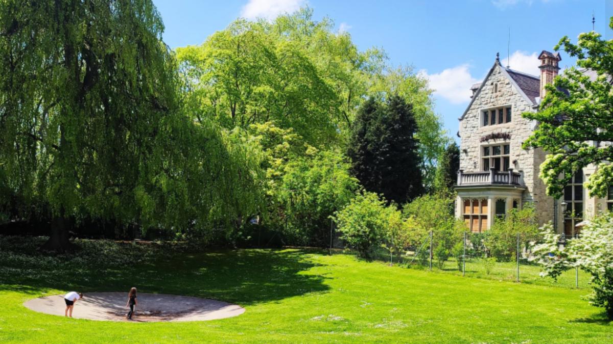 bloggerita-romanca-mutata-in-olanda--mesaj-emotionant-imaginea-asta-putea-fi-in-orice-sat-din-romania--imi-vine-sa-plang-pentru-noi-ca-popor