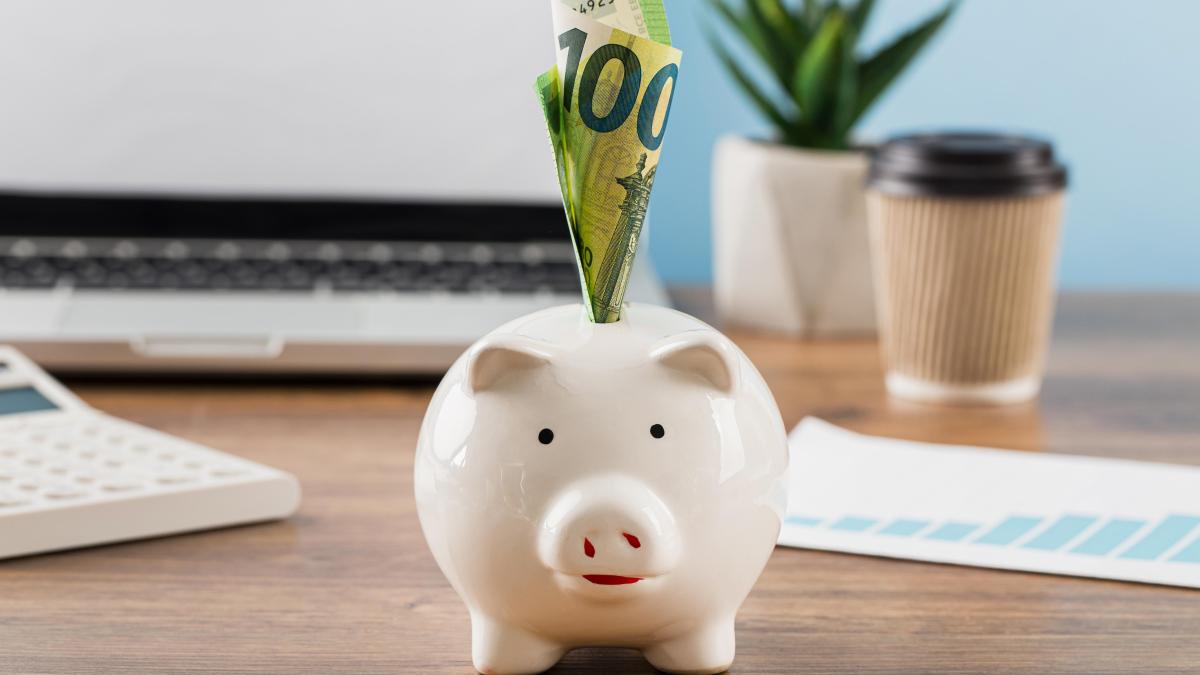 belgia--un-roman-care-facea-curatenie--prins-la-pusculita-pensionarei-politistii-i-au-intins-o-capcana